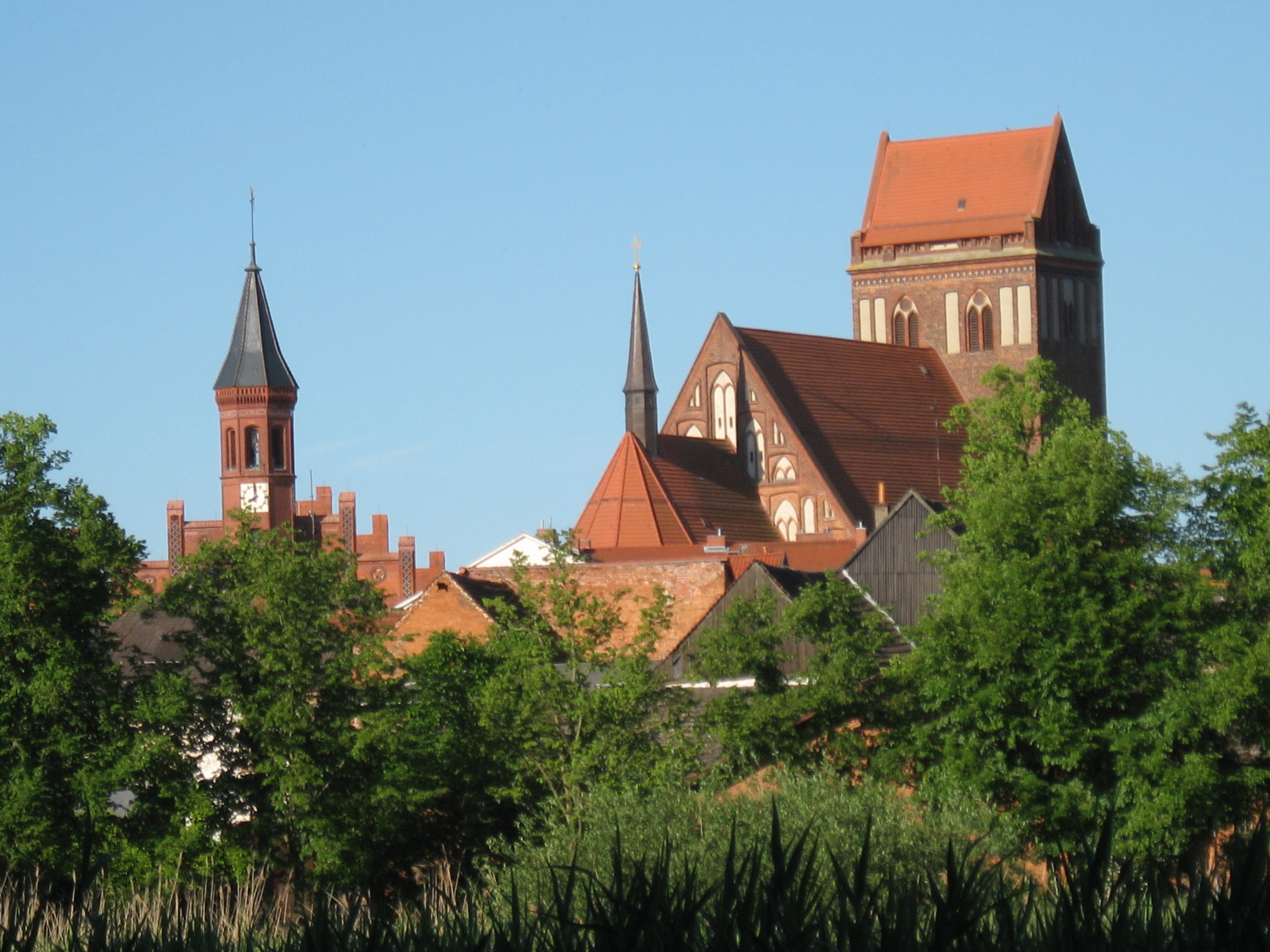 Backsteintürme und Ziegeldächer der Altstadt über den Bäumen