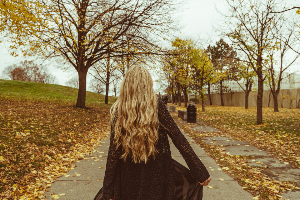 Allee mit alten Bäumen durch den Kurpark